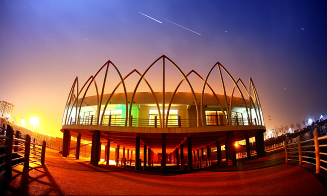 东营莲花广场活动策划案例