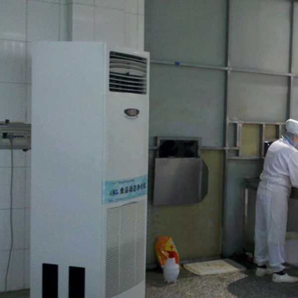 东营食品正负离子空气杀菌器